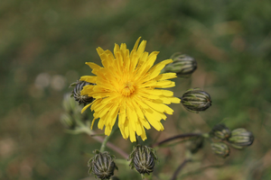 Plombier Allauch